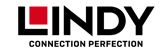 th lindy logo